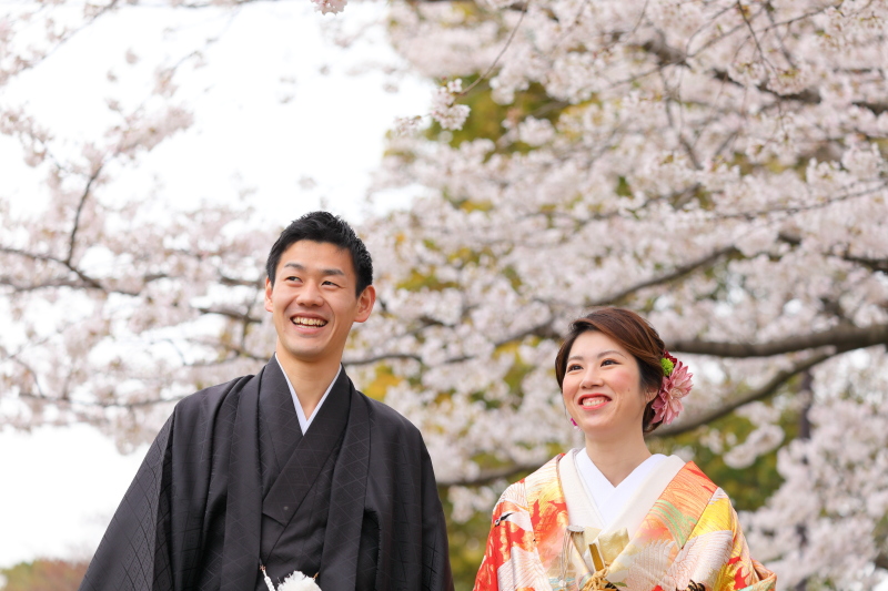 フレームいっぱいの桜☆