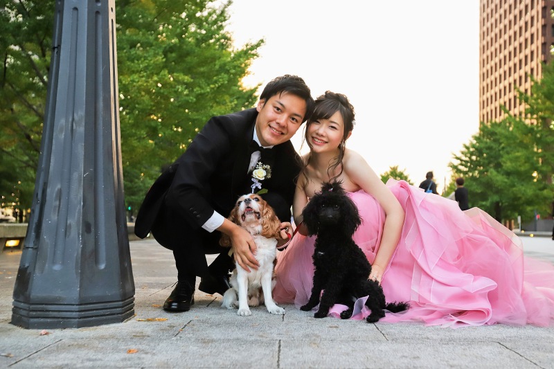 【丸の内仲通り】愛犬と一緒！ピンクドレスが映える都会のロケーションフォト