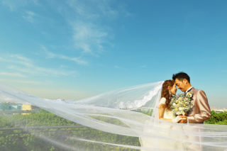 新緑の日本庭園和装とバラが華やぐ公園洋装ロケ