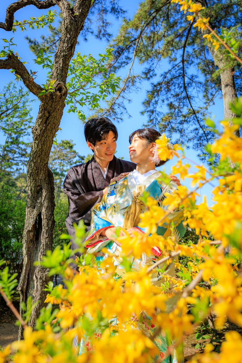 奇麗な花と
