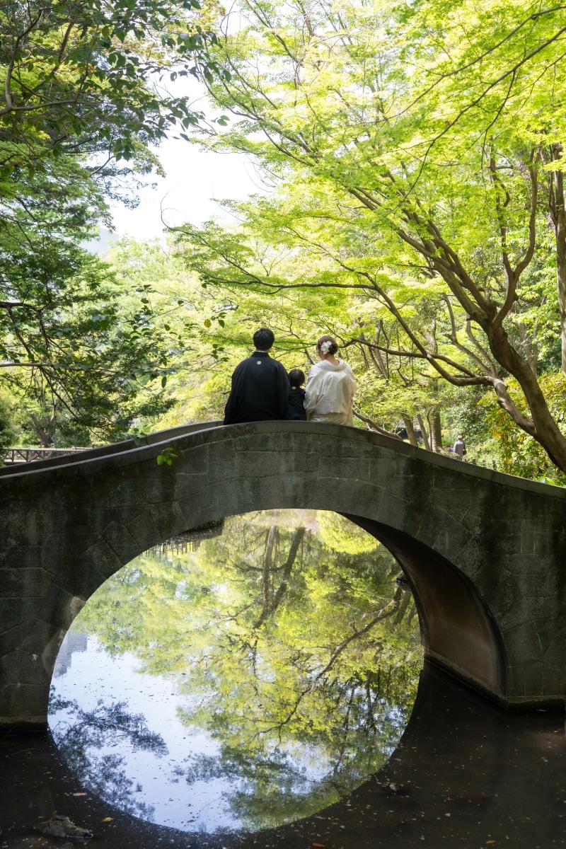緑に包まれる特等席