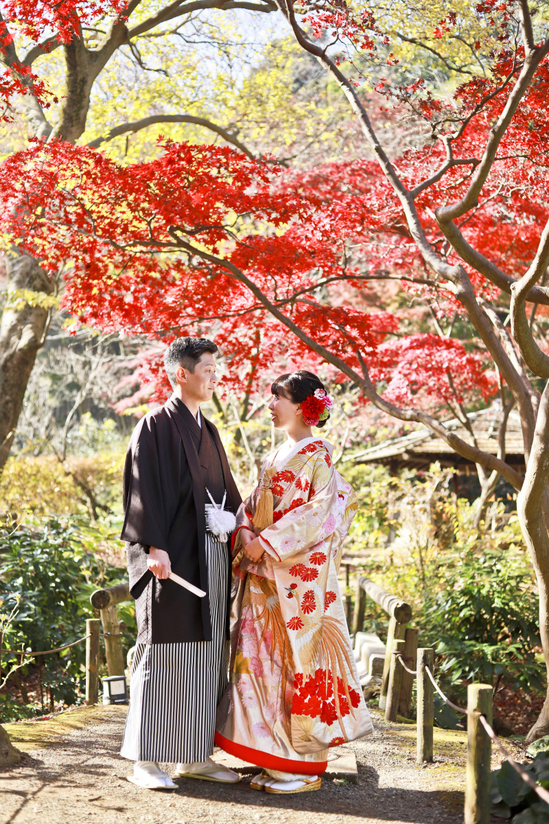 紅葉がきれいです