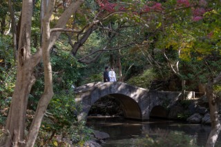 森の木々に囲まれた静かなロケーション撮影、自然な笑顔を形にした心温まるレポート