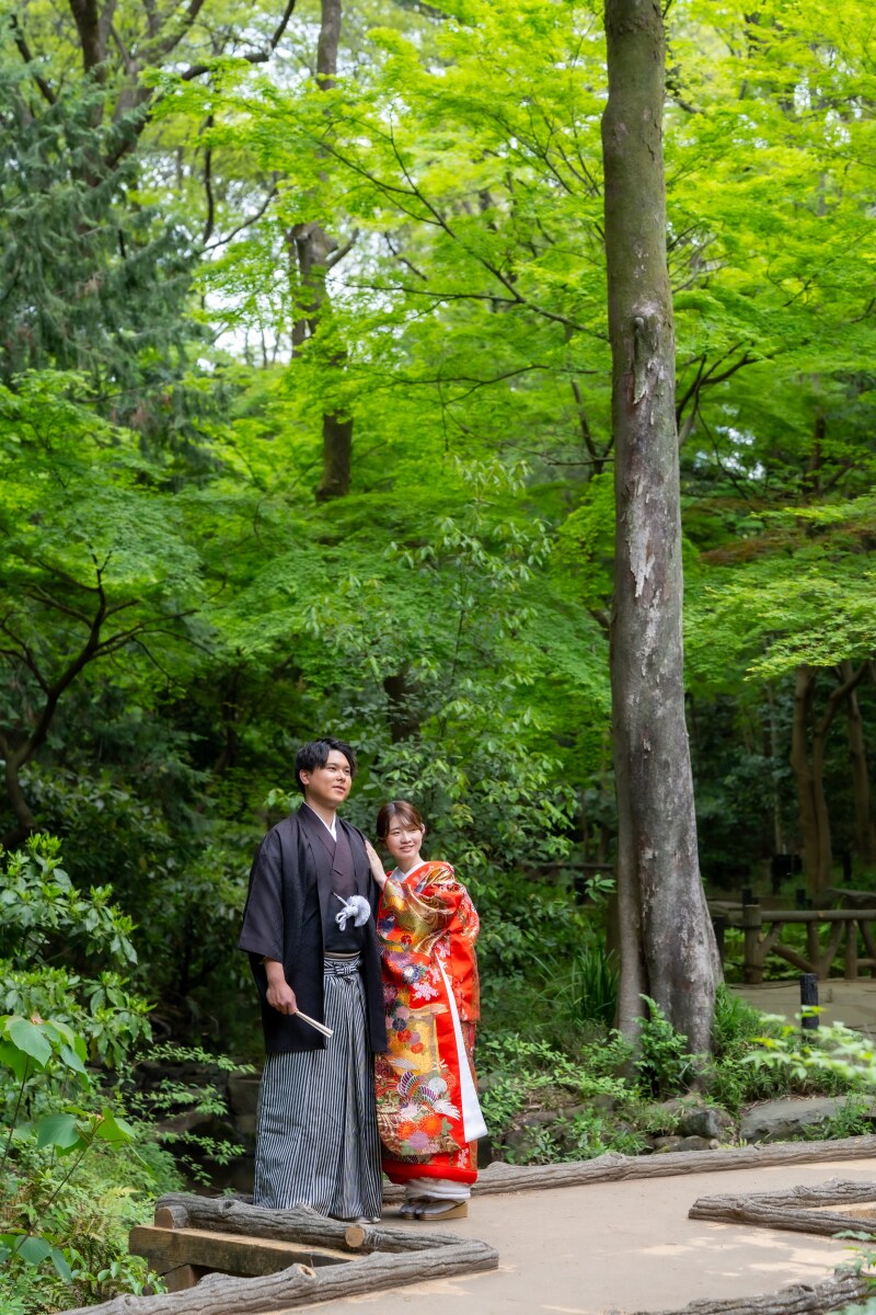 木漏れ日あふれる森の中の散策