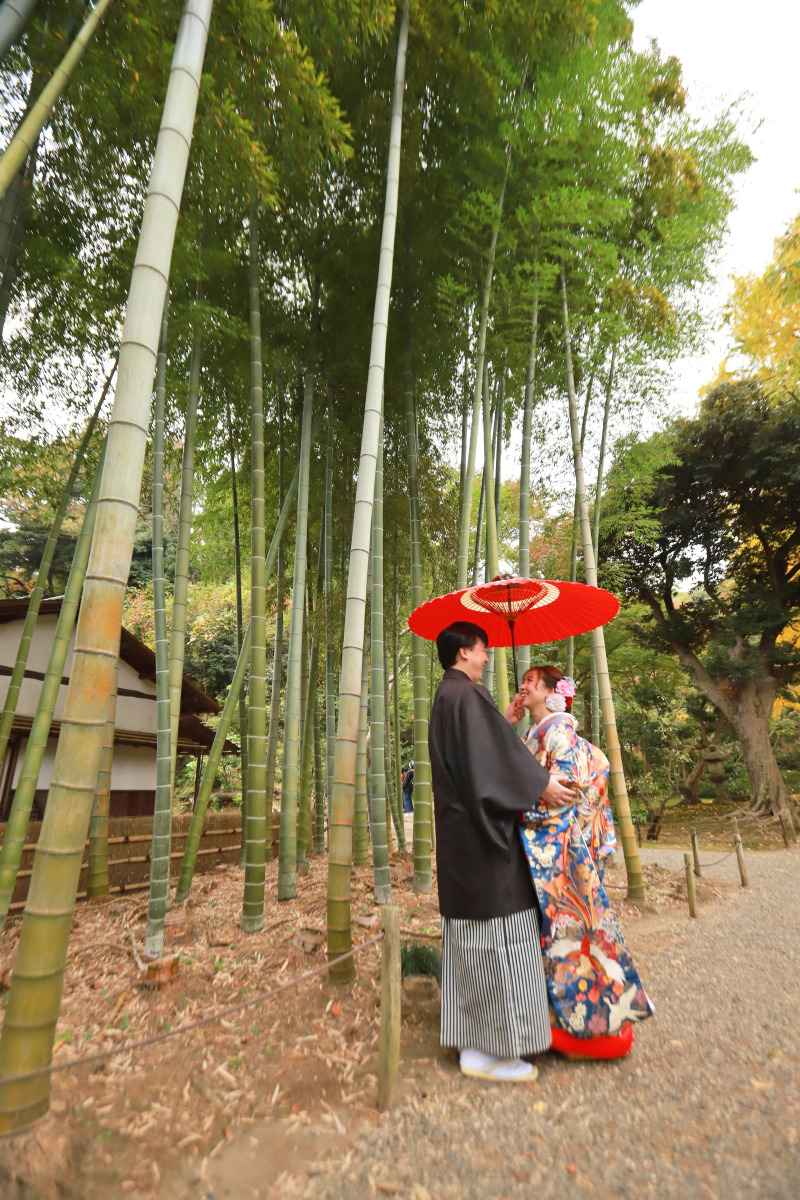 竹林で