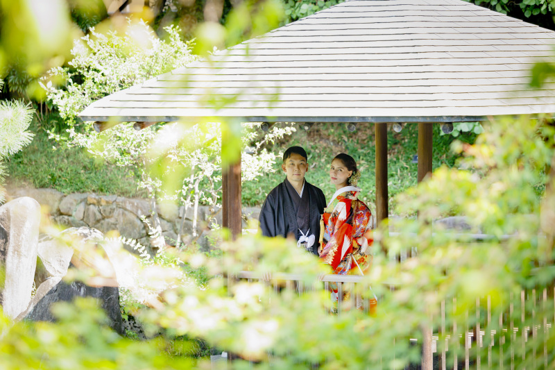 優しい木漏れ日