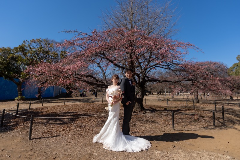 冬の柔らかな光が差し込む公園でのロケーションフォト