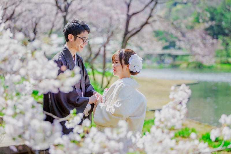 満開の桜に囲まれて