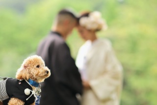寺院でペットと一緒に和装ロケ☆