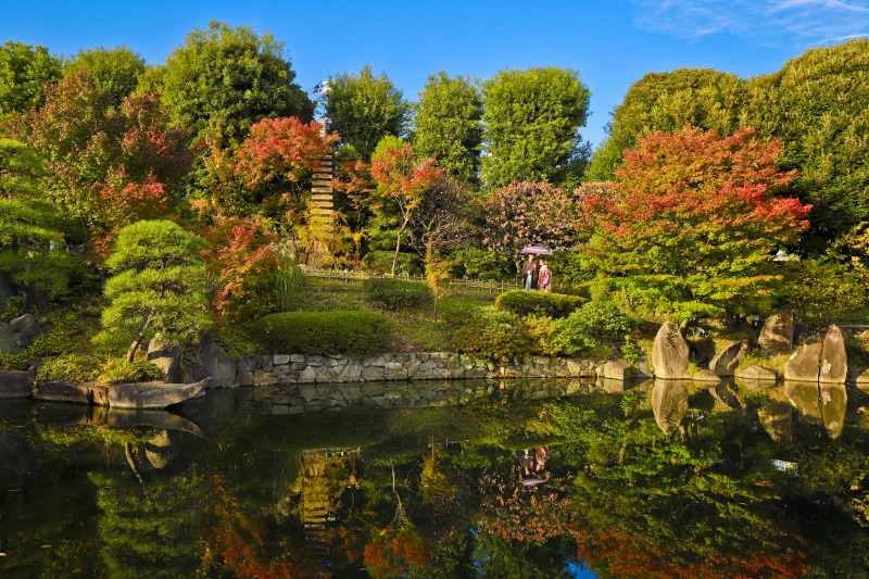 紅葉