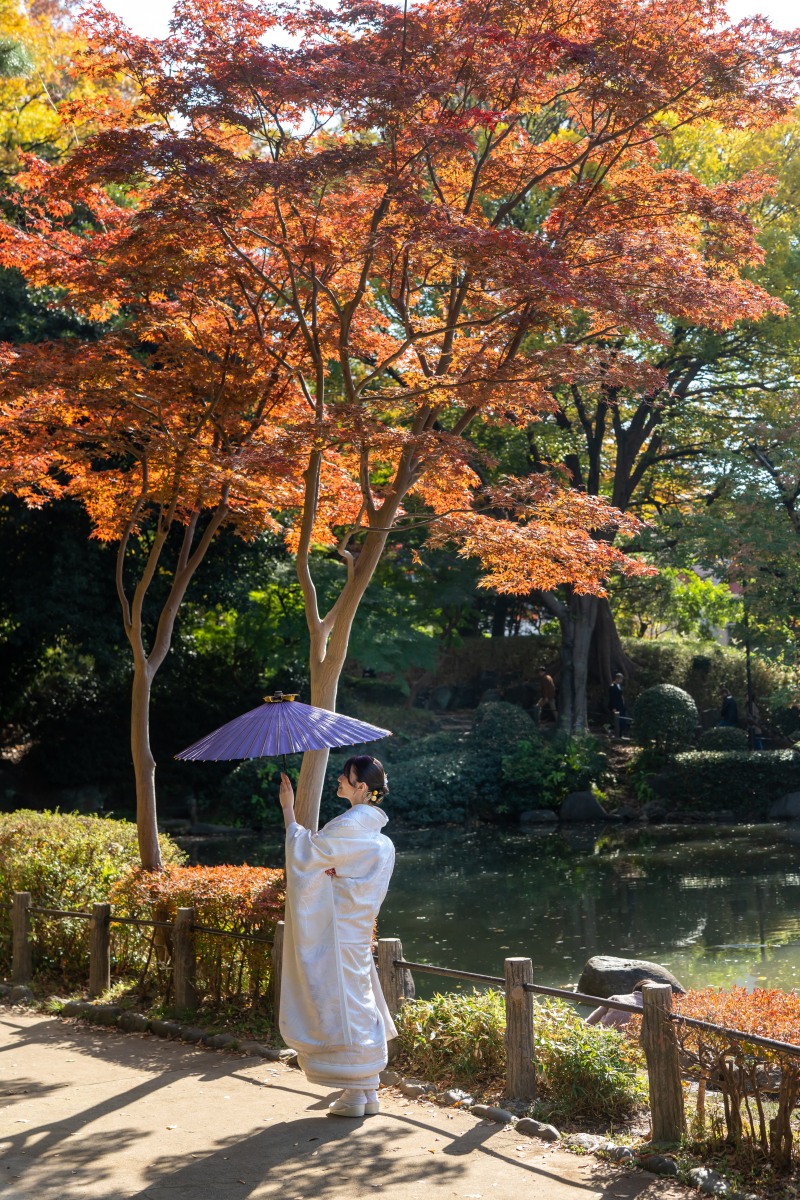 紫の和傘を見上げる新婦