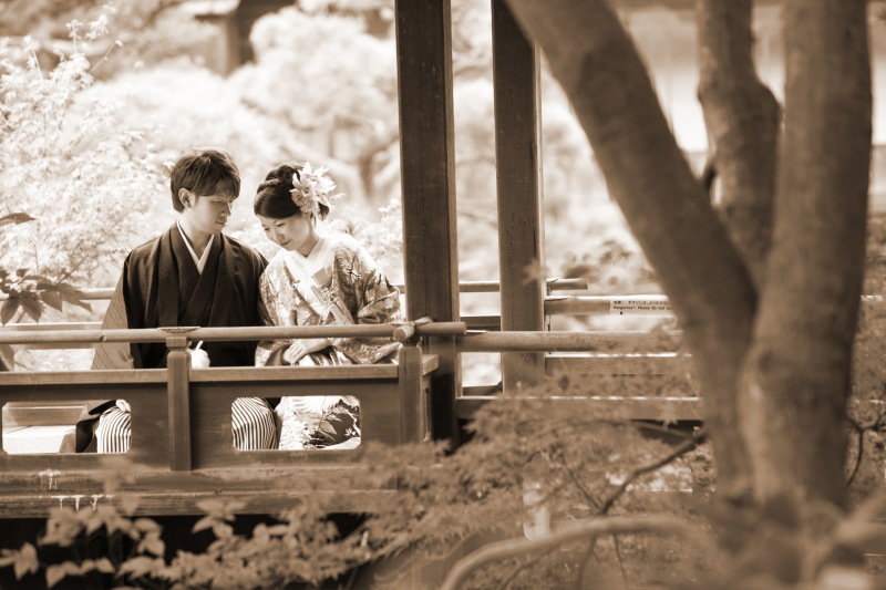 日本庭園で雰囲気が素敵なお写真を