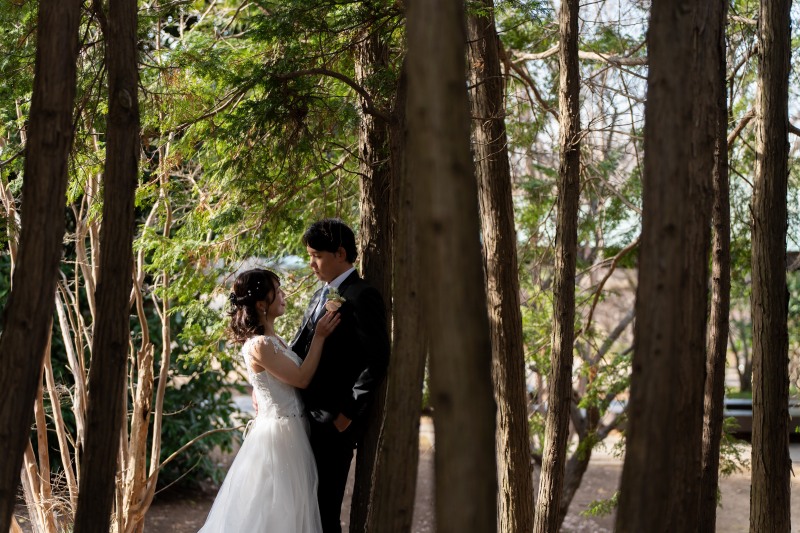 森の中に迷い込んで