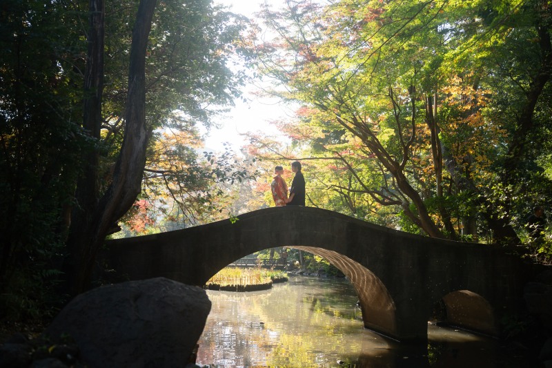 木漏れ日の中で紡ぐ、二人の時間