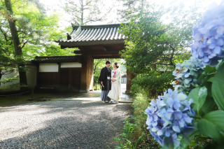 紫陽花の綺麗な時期に白無垢和装ロケ