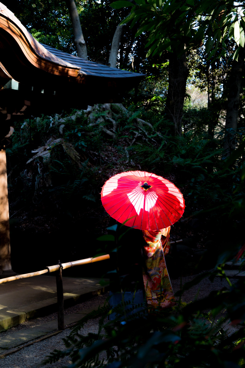 木漏れ日が描くドラマチックな光