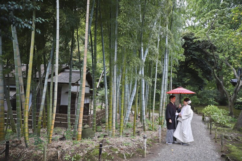 竹林と紅い和傘の語らい