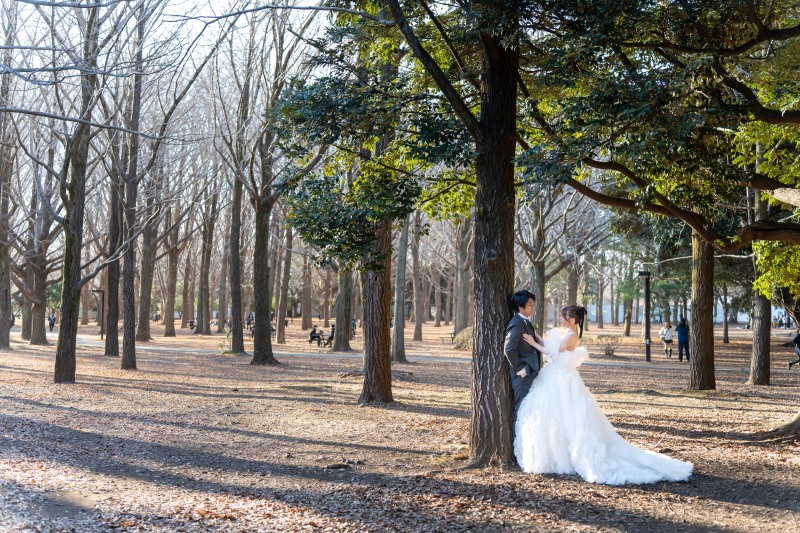 冬の木立に包まれて