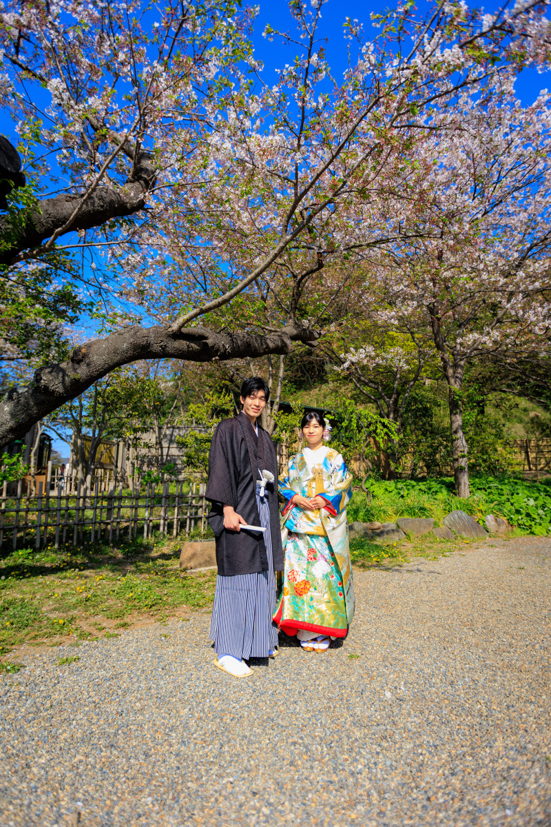 桜と一緒に