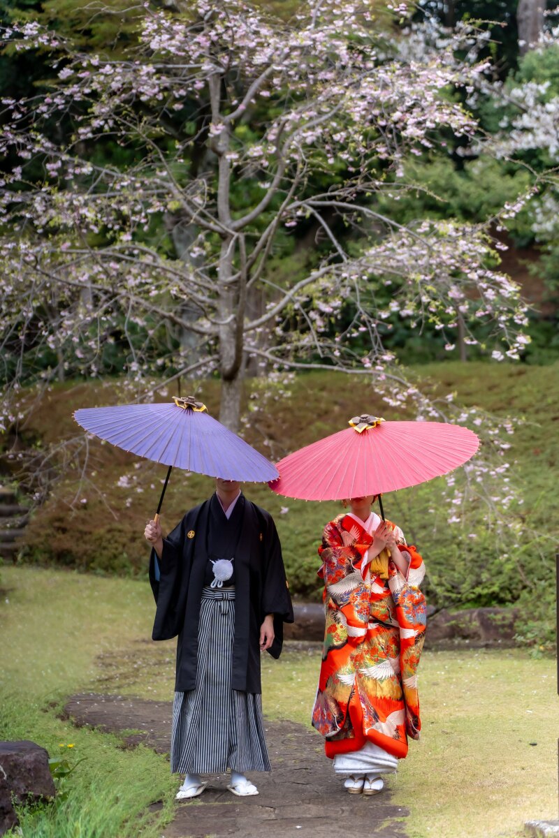 桜の下で、おしゃれな和傘カット