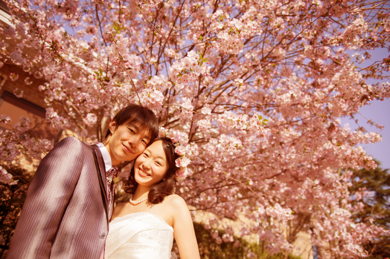 桜×洋風ガーデン