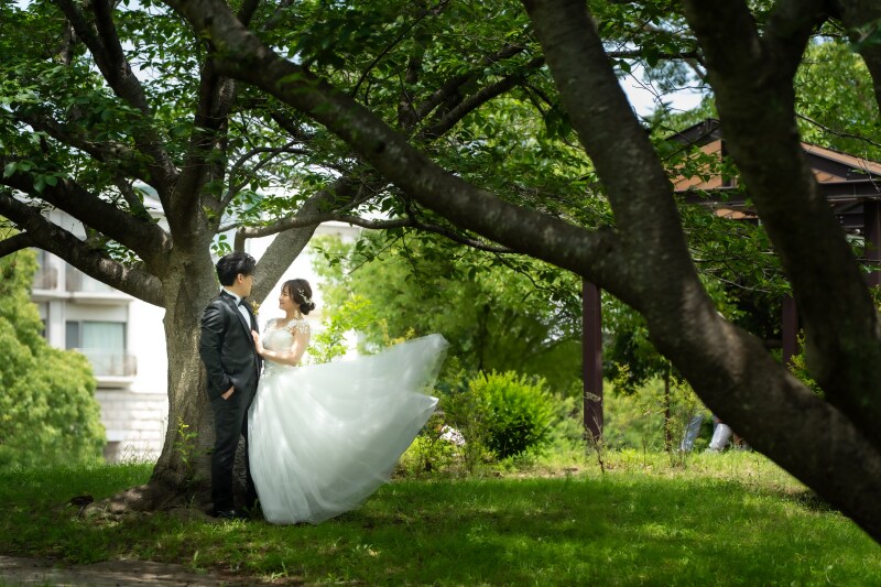 風を味方にした躍動感ある一枚