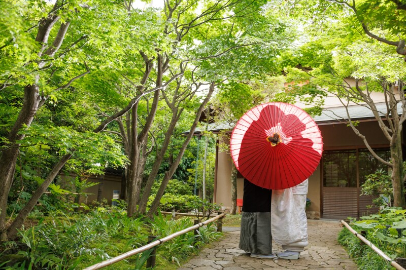 新緑の庭と赤い番傘