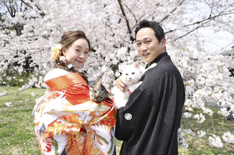 直前割などお得なキャンペーンプランが充実！