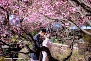 Asect東京店_【和&洋】桜・紅葉