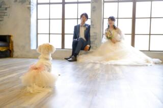 Asect東京店_【和＆洋】ペット・家族と一緒に