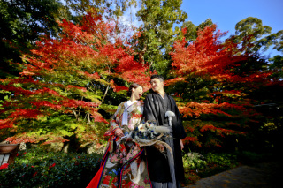 Asect東京店_【和&洋】桜・紅葉