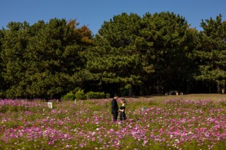 Asect東京店_【和&洋】代々木公園・葛西臨海公園