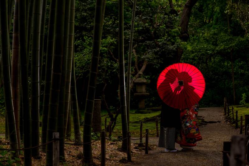 あえて暗めに設定して後ろからライティングして撮影した1枚