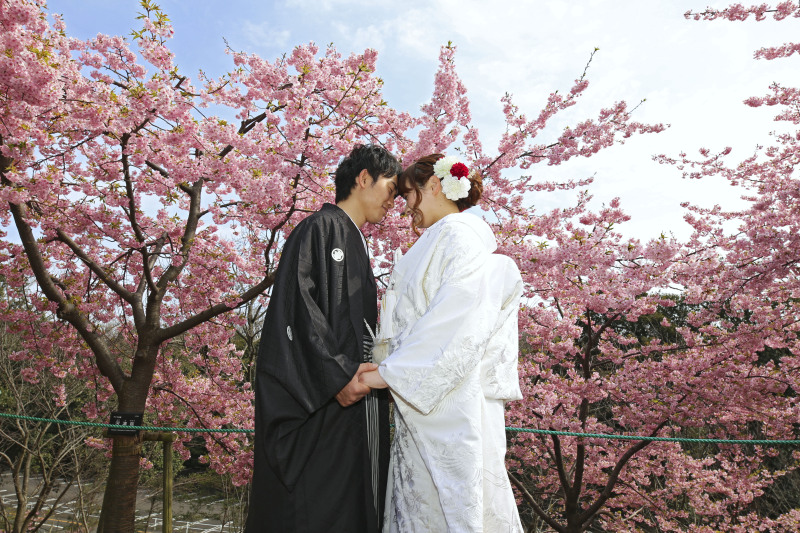 【庭園桜ロケ】3/24・3/25・3/30限定★和装全データ☆25%OFF☆演出ムービーやアルバムなど豪華10大特典付き