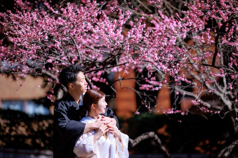 【庭園桜ロケ】3/24・3/25・3/30限定★和装全データ☆25%OFF☆演出ムービーやアルバムなど豪華10大特典付き