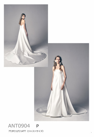 P　ANT0904