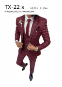 TX-22S1