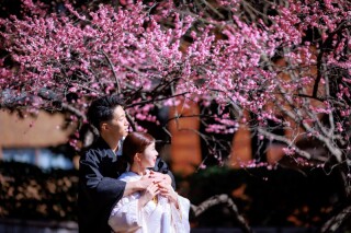 白無垢×紅梅ロケと洋装スタジオの和洋装フォト