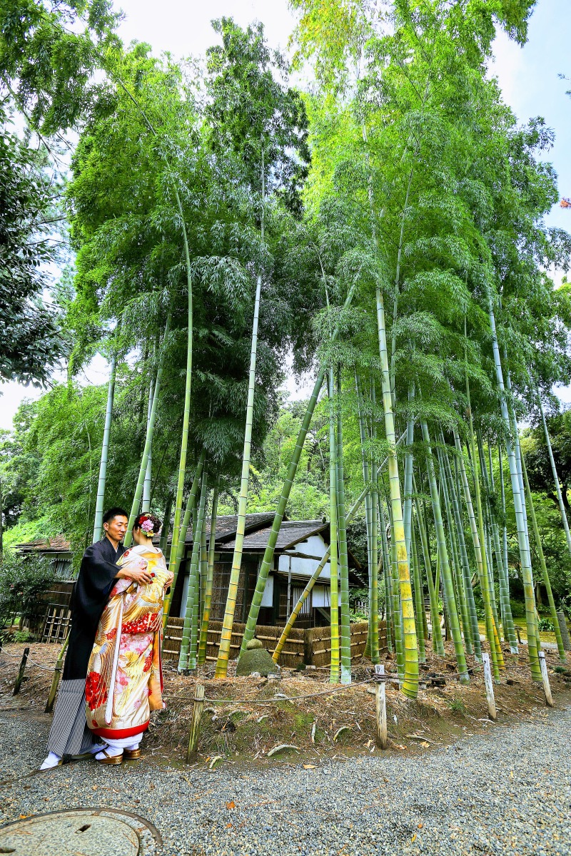 竹林で