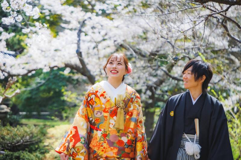 鮮やかな色打掛が桜映えする1カット