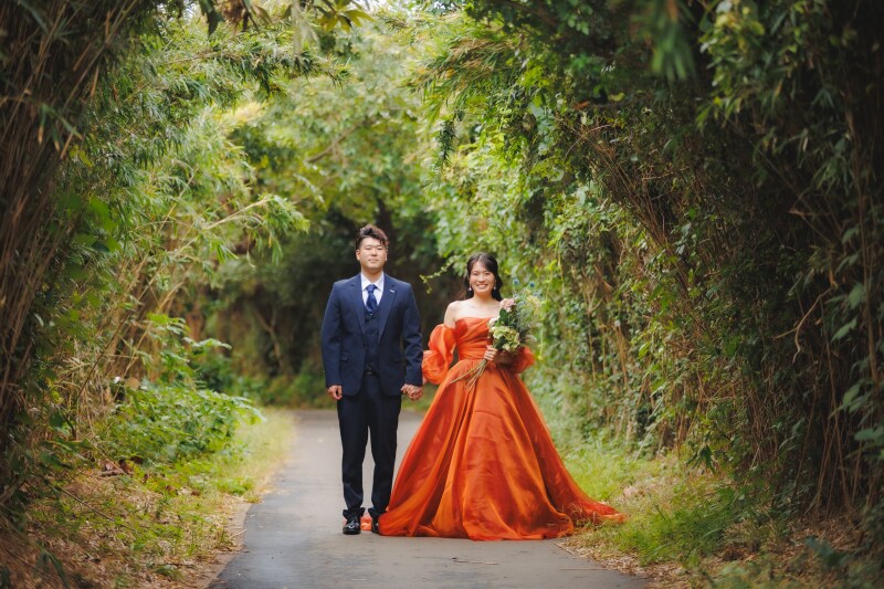 緑と光のロケーションフォト