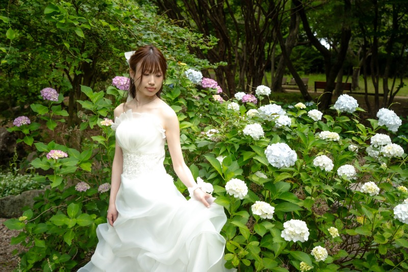 紫陽花に包まれて