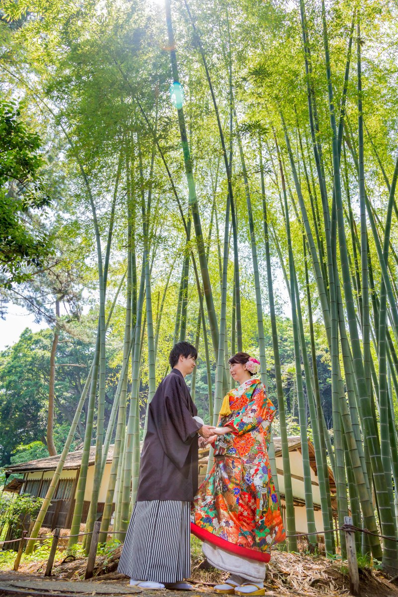 鮮やかな竹林☆