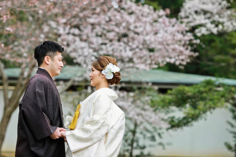 桜の下で見つめ合う瞬間