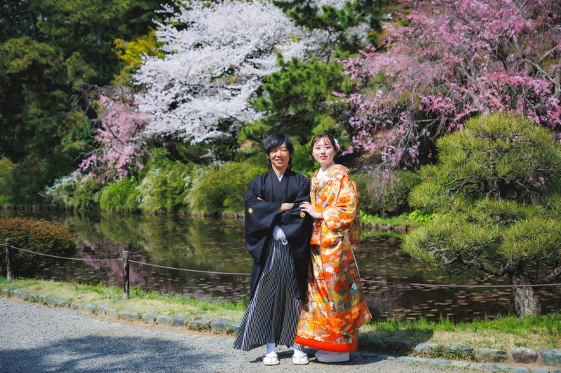 満開の桜の咲く三渓園にて撮影開始