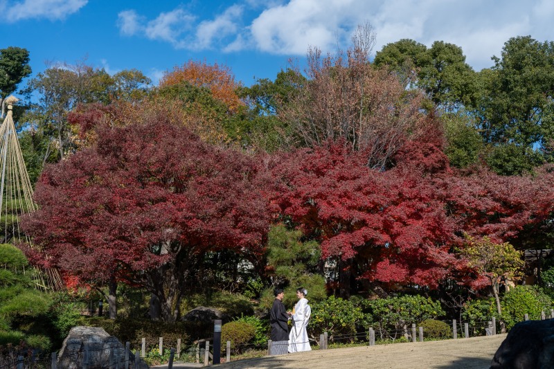紅葉の下で向き合う二人のひととき
