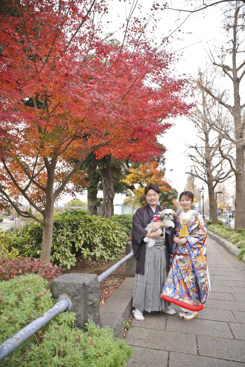 紅葉と