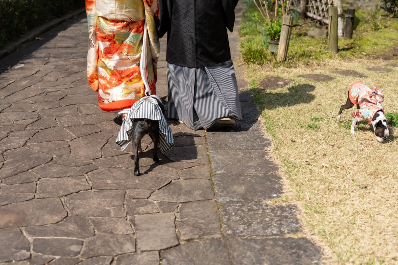 大切な家族も一緒にお散歩