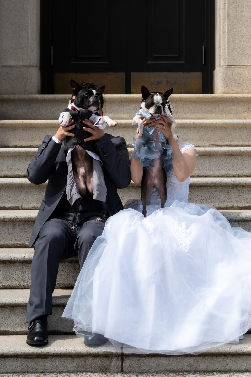 主役はお二人とワンちゃん！