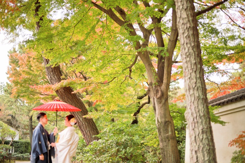 紅葉のグラデーション